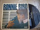 rare ronnie bird
