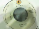 PUNK CITY''JOHNNY B. GOODE'' CITRA RECORDS    MINT