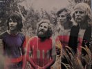 TAMAM SHUD,Evolution,'69 prog/psych/surf monster LP