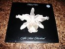KINGS OF LEON AHA SHAKE HEARTBREAK 10