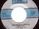 RAY & BLUE SATINS She Doesn't Love Me NORTHERN SOUL 45