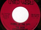 rare Soul Funk 45 NEW ESTABLISHMENT slums of the city