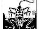 Skullflower Xaman