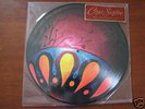CIRCA SURVIVE on letting go 12