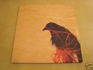 Death Cab for Cutie - Transatlanticism - 12