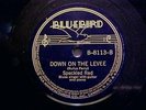 Speckled Red Bluebird 8113 Down On The Levee (E+)