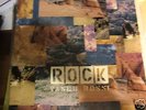 disco vinille 33 giri vasco rossi rock