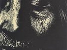 Paradise Lost 2LP One Second MUSIC FOR NATIONS