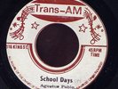 Augustus Pablo School Days RARE JA Trans-Am 45 Listen