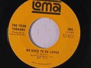 TEEN TURBANS: We Need To Be Loved / Didn't He Run 45 rare Soul