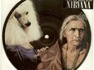 Jesus Lizard Nirvana Picture disc Touch and Go OOP KBD