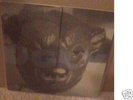 Ugly Casanova RARE 7
