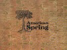 AMERICAN SPRING - BRIAN WILSON - 1972 UK VINYL LP