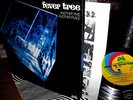 1968 Orig FEVER TREE - ANOTHER TIME - HARD GARAGE PSYCH