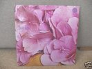 STILL LIFE, SELF TITLED, ORIG. '71 UK SPIRAL VERTIGO LP