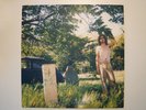 Ariel Pink's Haunted Graffiti - The Doldrums LP
