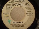 THE PRIMITIVES orig 1964 garage PROMO Lou Reed
