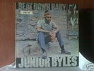 Junior Byles - Beat Down Babylon Orig. UK Trojan LP