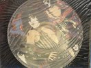 KISS PAUL STANLEY CLASSIC JAPANESE PICTURE DISC 12
