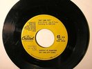 BEACH BOYS - Salt Lake City - RARE PROMO 45 RPM