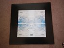 LIFE LONG TRAGEDY TEST PRESS sabertooth zombie ceremony