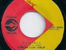 LIBERATION GROUP / NAMIBIA / LISTEN