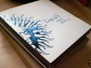 DEEP RAVERS PACK - 23 x 12