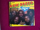 NEW BREED  TRIBULATION TIME  LP  PRODUCED TOUTER HARVEY