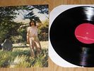 ARIEL PINK - Haunted Graffiti #2 The Doldrums LP RARE