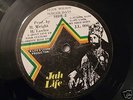 FLICK WILSON -SCHOOL DAYS - ON JAH LIFE LABEL ORIG.