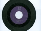 BEATLES PLEASE PLEASE ME/FROM ME 45 RPM VEE-JAY BLUE