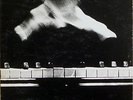 CECIL TAYLOR / SHEPP All Stars JAPAN Candid *RARE* COMP