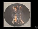 THE SWEET  LP Sweet Fanny Adams Picture Disc aus Japan