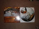 Circa Survive Juturna LP Picture disc