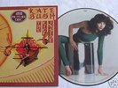 PIC-DISC KATE BUSH - THE KICK INSIDE UK-ORG '78 TOP RAR