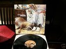 Element of Crime - Psycho- Vinyl/ LP ungespielt megarar