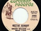 Brian Wilson/Mike Love 