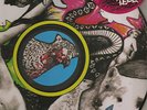 YEAH YEAH YEAHS   Fever To Tell Picture Disc LP