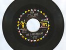 RARE GARAGE Barbarians HEY LITTLE BIRD JOY 45