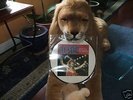 AC/DC * PICTURE DISC LP  YOU SHOOK ME - DUDDDDEEE 