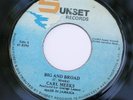CARL MEEKS-BIG AND BROAD-KILLA JAM 45-AUDIO SAMPLE 