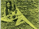 DANDELIONS LP PRIVATE FOLK POP RARE LISTEN