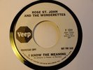 TEFTELLER Northern Soul Rose St. John Wonderettes Veep