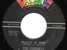 DOO WOP CONSORTS 
