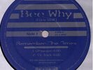 Bee Why REMEMBER THE TIMES lone wolf indy rap  12
