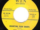 DOO WOP DEL-SATINS 