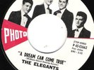DOO WOP THE ELEGANTS 