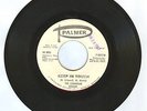 60's GARAGE The Canadian Rogues KEEP IN TOUCH PALMER 45