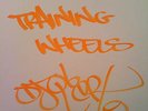 SKRATCHY SEAL'S TRAINING WHEELS Remix Test Press Marked