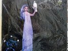 STEVIE NICKS 